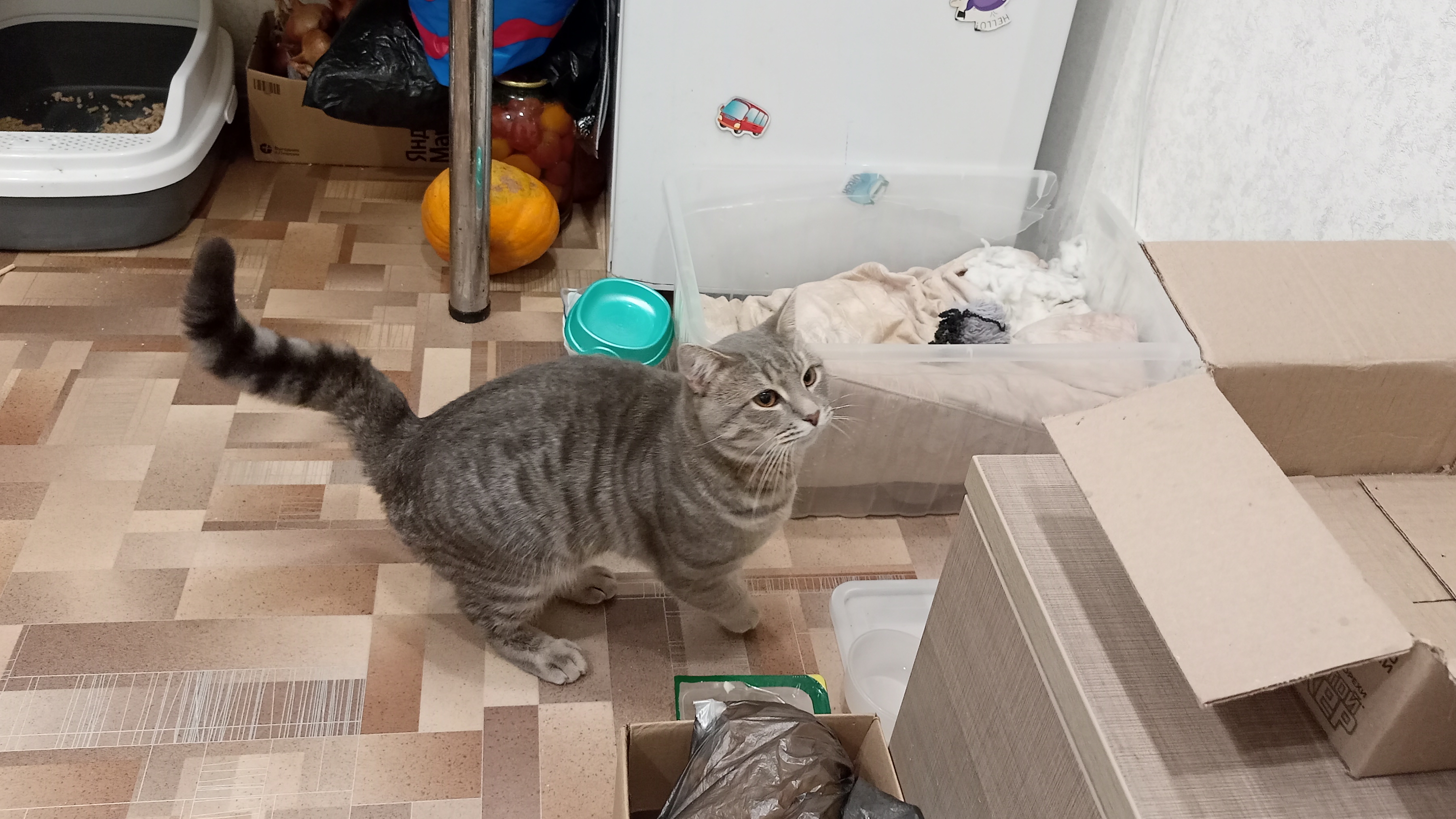 деревенская симфония