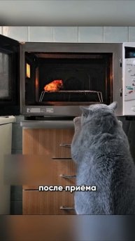 🤪☠️ Самый Глупый Вор в Мире
