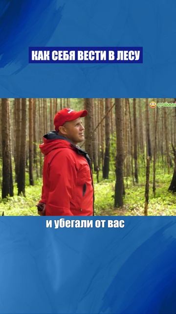 Правила поведения в лесу