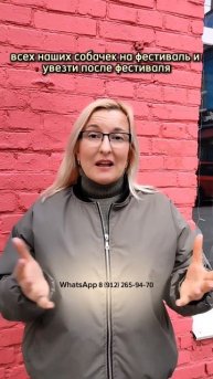 Друзья, на наш фестиваль 17 мая очень нужны автоволонтёры и сопровождающие собак. Отзовитесь!