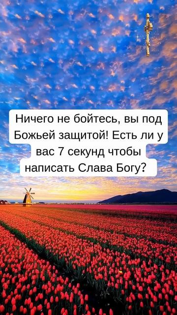 👆👆👆Ничего не бойтесь, вы под Божьей защитой! Есть л?