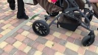 Чужие дети