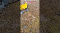 Сбор клюквы весной 2025, новый инструмент.