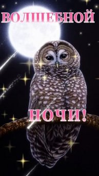 Спокойной Ночи #открытка #пожелания #поздравления #под