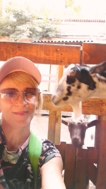 что кушает козёл) #Экопарк #зоопарк #Тольятти