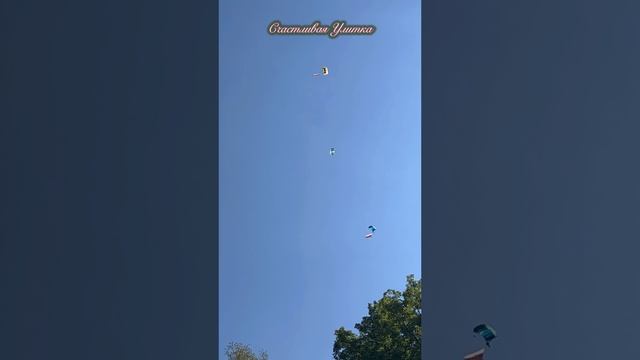 САМОЛЕТЫ / ПАРАШЮТИСТЫ / ЛИСТОВКИ 
С ПРАЗДНИКОМ! С 9 МАЯ!!! С ДНЕМ ПОБЕДЫ! 
80 ЛЕТ. 9 МАЯ 2025 ГОД.