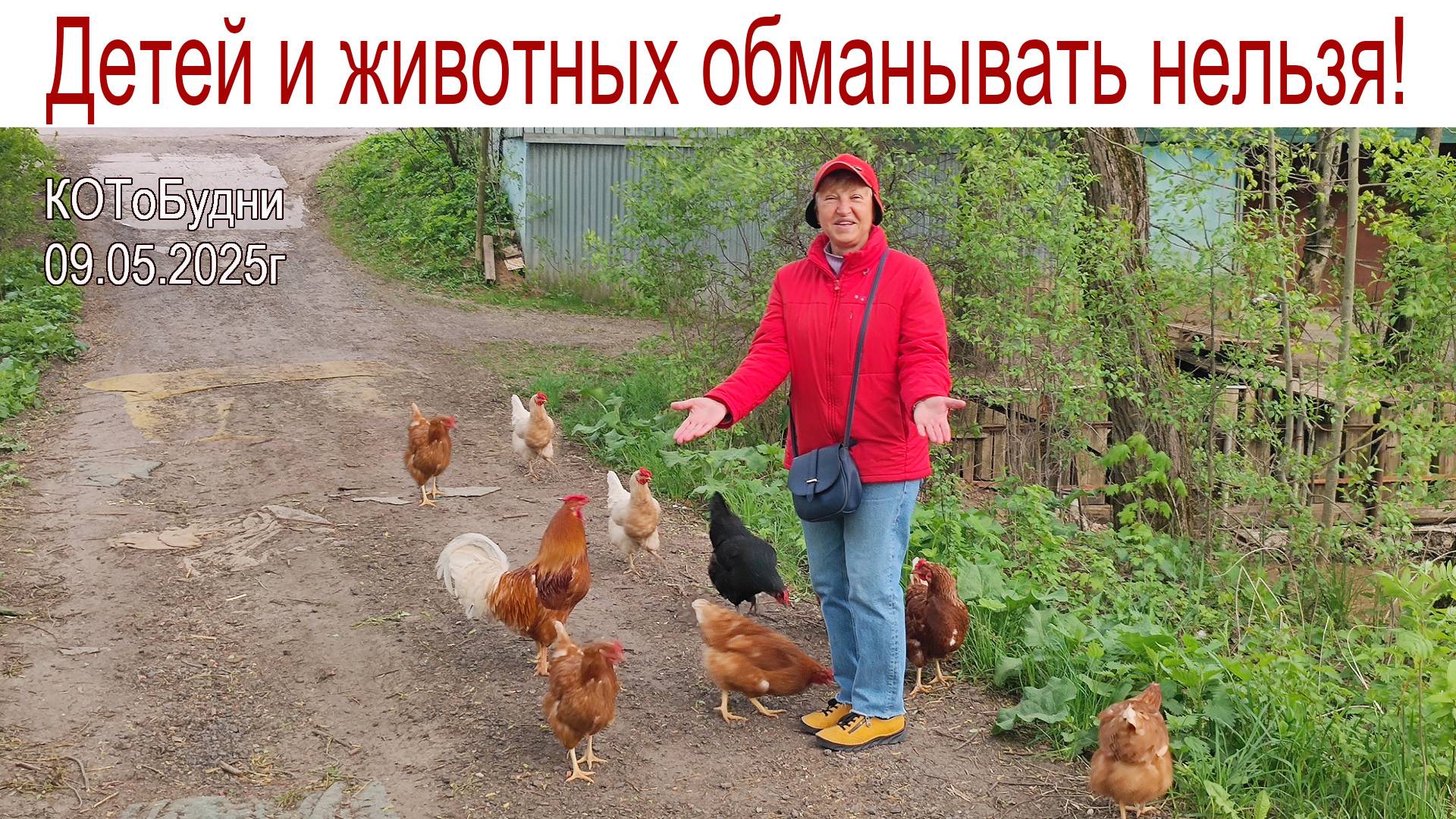 Вот моя деревня - вот мой дом родной... КОТоБудни от 09.05.2025г.