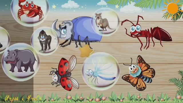 Развивающий мультфильм для детей Пазлы |познавательный|мультик|для малышей|мама|мультфильм|