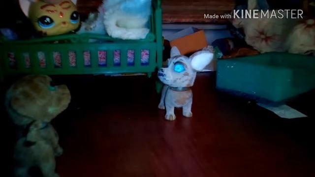 Lps (Rytp) ты чё дурак что ли