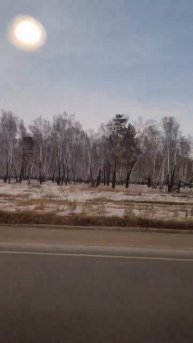 берёзки...наши леса #сибирь #накраюземли #мир #сибирь_мо