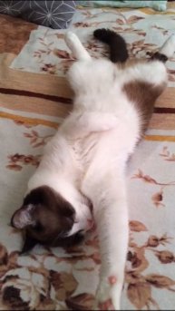 У Валеры всё по фэн-шую.