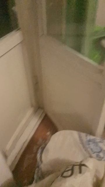 #анимэшница