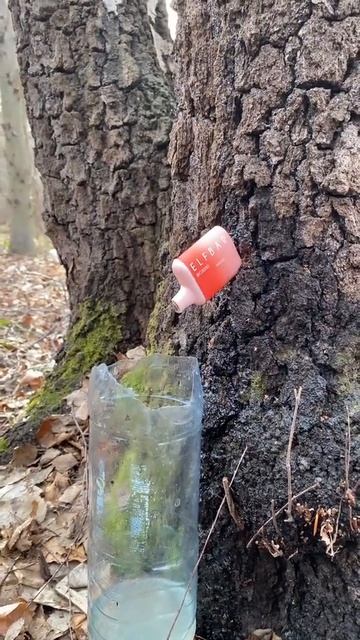 Березовий сік