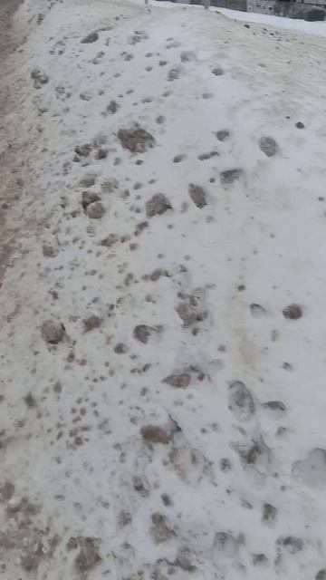 Полная жесть Ярославль