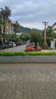 VID_20250502_075921