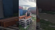 Один день из жизни дачника!