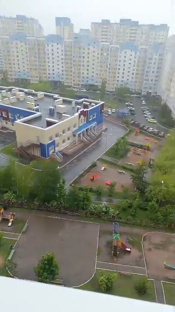 Съёмку ведёт кот. Оренбург