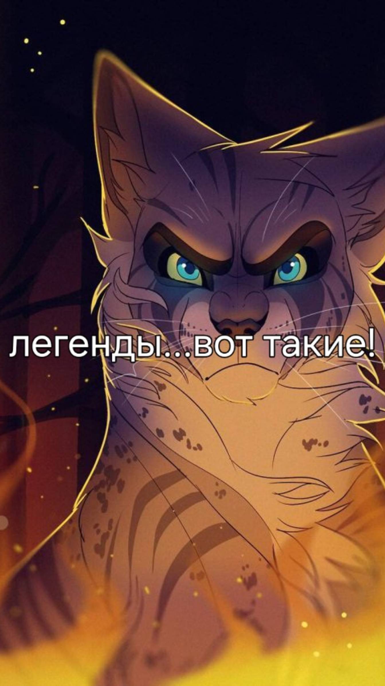 Огнезвездик~♡Легенда вернеться!и возвратиться всегда!он был киской но,теперь легенда!