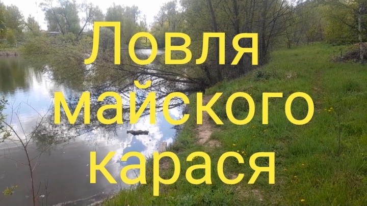Ловля майского карася.
