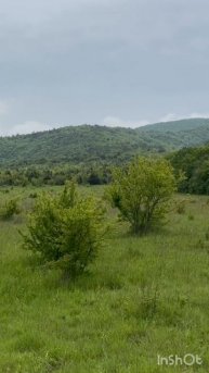 Мой подарок на мои 39 лет. Конная прогулка с семьей. Это восторг.