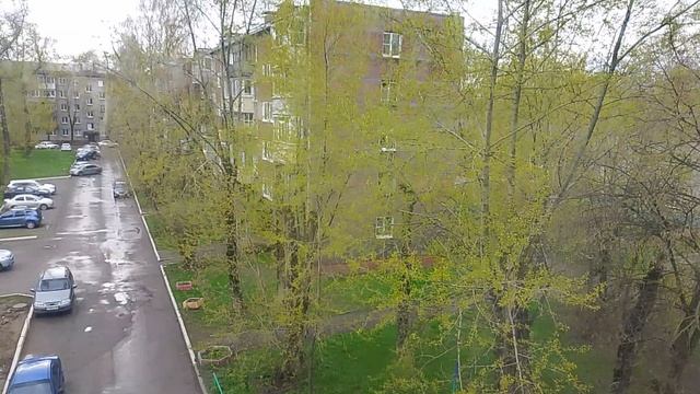 VID_20250509_132737
