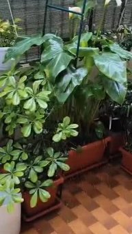 Новости из Италии. Вот как поливает сейчас, на 9 мая!