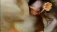 Последствия красных точек и ран непредсказуемы... 1000004375.mp4