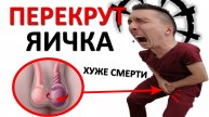 Яичко ПЕРЕКРУТИЛОСЬ в мошонке. Какие шансы, что яйцо ОТВАЛИТСЯ? Как его спасти?