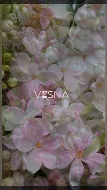 Весна🌺- любимое🩷 время года🌞🌝☀️