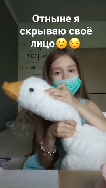 у меня есть гусь