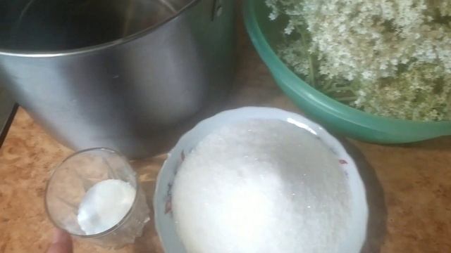 Квас із цвіту бузини. Шампанське з бузини