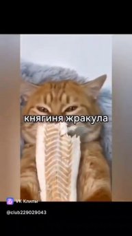 Короли в те времена