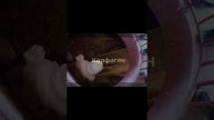 Путешествие на _Коста Конкордии_ 2 — сделано в Clipchamp