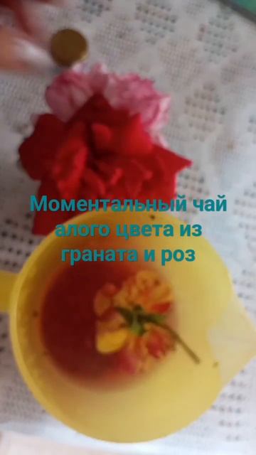 Моментальный чай алого цвета из граната и роз #эмиграц