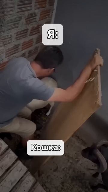 Хахахах ну так же и есть 😅 #история #кошки #юмор