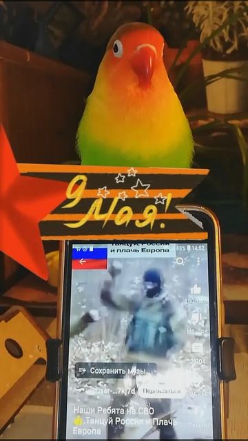 Snapchat-1918534017.mp4
