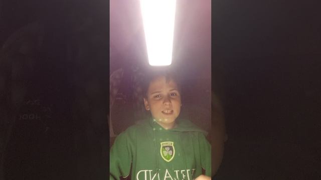 Лионеликактусели и тунг саур