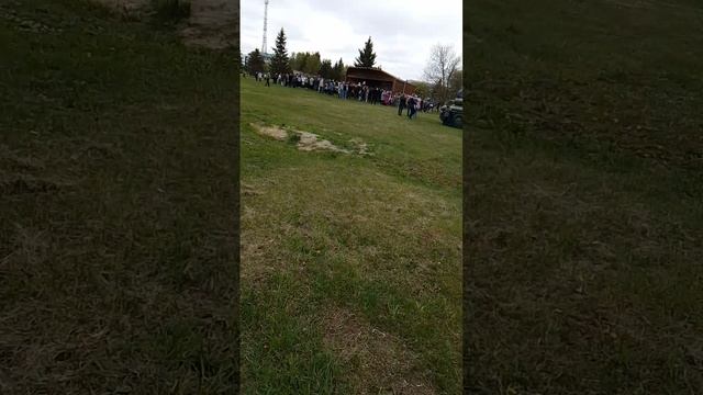 р.п.каргаполье курганской области .