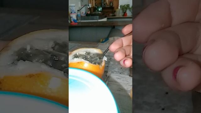 Пробую китайский гранат.