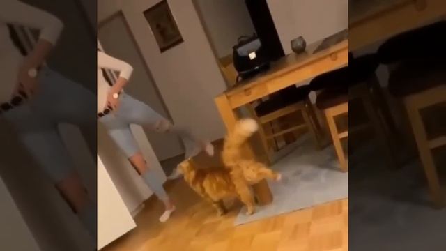 Совместная зарядка