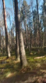 Переехали канаву с водой