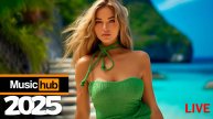 MUZHUB LIVE