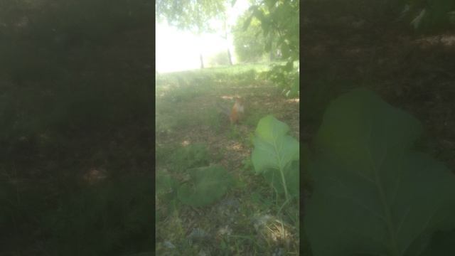 1000149874.mp4