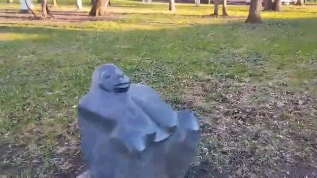 09-05-2025 Ожившие   камни