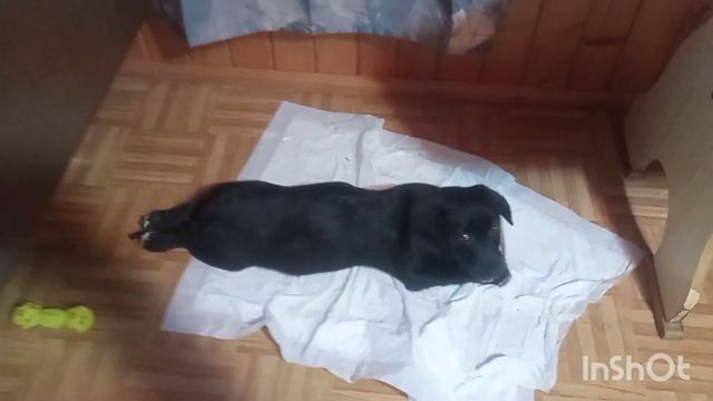 11 декабря 2024 г.