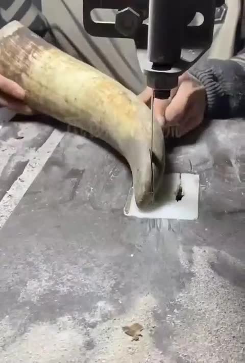 Obrigado pelo pente