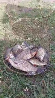 рыбалочка