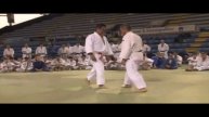 HIROSHI KATANISHI - O UCHI GARI