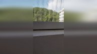 Москитные сетки плиссе на проем