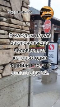 Мудрые мысли: в каждом из нас - два человека #мудрыесов?